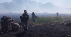 Bombeiros combatem fogo em turfa no Espírito Santo