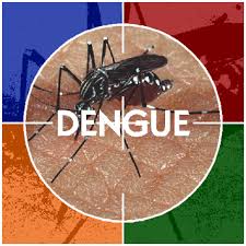 dengue 123