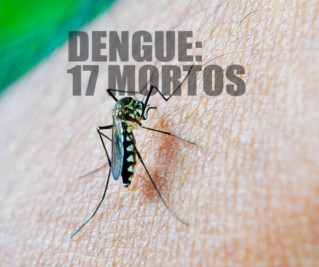 Dengue: 17 mortes confirmadas este ano