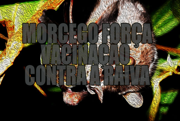 Morcego com suspeita de Raiva é encontrado em Vila Velha