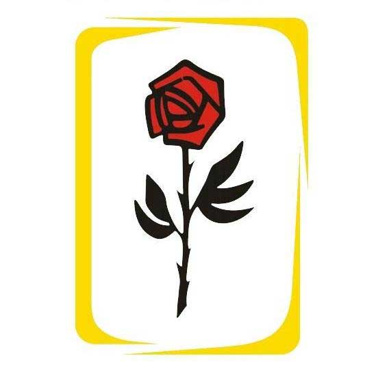 Pestalozzi amplia atendimento de terapia ocupacional e fisioterapia para moradores da Serra